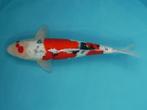 Koi VEILING Ginrin showa 52 cm BIEDEN per euro WO 4 juni, Karper of Koi