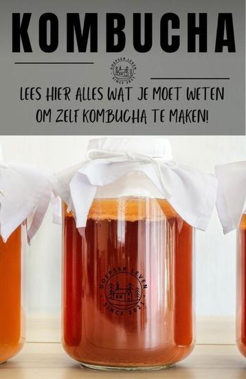 Kombucha je darmen worden er blij van beschikbaar voor biedingen