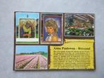 Anna Paulowna-Breezand, bolbloemen show, Verzamelen, Ansichtkaarten | Nederland, Verzenden, Ongelopen, Noord-Holland