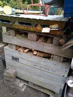 wilgen haardhout, Minder dan 3 m³, Ophalen, Blokken