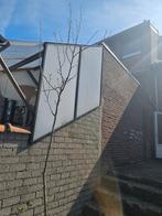Peer boom, Tuin en Terras, Planten | Bomen, Ophalen, Overige soorten
