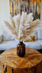 Pampas Pluimen - Beige - 100cm - Nieuw, Ophalen of Verzenden, Nieuw