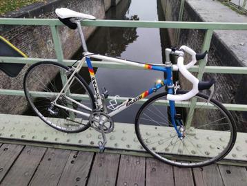 1986 Raleigh Team Corsa - panasonic 54 beschikbaar voor biedingen
