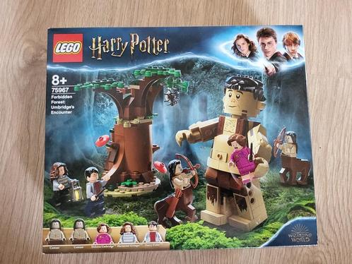 LEGO Harry Potter 75967 Het Verboden Bos||NIEUW, Kinderen en Baby's, Speelgoed | Duplo en Lego, Nieuw, Lego, Complete set, Ophalen of Verzenden