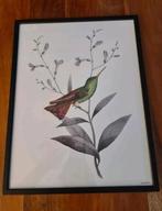 Vanilla Fly Lijst met Kolibrie Print, Ophalen of Verzenden