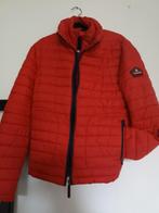 Jas Superdry, Maat 38/40 (M), Superdry, Ophalen of Verzenden, Zo goed als nieuw