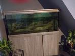 Mooie aquarium TEAB, Ophalen, Zo goed als nieuw, Leeg aquarium