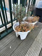 2 x Elho Corsica balkonbak 30cm - Wit, Kunststof, Balkon, Zo goed als nieuw, Minder dan 40 cm