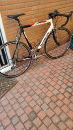 racefiets Passion Corse Viper  - Carbon Frame - Shimano, Fietsen en Brommers, Fietsen | Racefietsen, Overige merken, Carbon, Heren