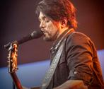2 Waylon Tickets - 1 Nov - Ring Ek, Rij 22, Tickets en Kaartjes, Twee personen, November