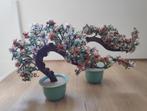Set van 2 Chinese jade bonsai bomen, handgemaakt!, Antiek en Kunst, Antiek | Porselein, Ophalen