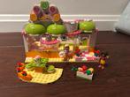 Lego Friends Sapbar 41035, Ophalen of Verzenden, Zo goed als nieuw, Complete set, Lego