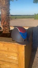 one-K caps !, Dieren en Toebehoren, Ophalen of Verzenden, Nieuw, Dressuur, Cap