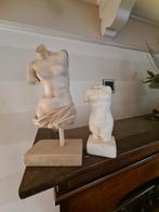 Twee setjes man/vrouw torso, Ophalen, Gebruikt, Mens