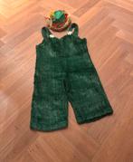Leuk carnavalskostuum met hoedje, Carnaval, Ophalen of Verzenden, Zo goed als nieuw, Kleding