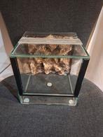 Klein terrarium 20x20x20, Dieren en Toebehoren, Reptielen en Amfibieën | Toebehoren, Ophalen of Verzenden, Zo goed als nieuw, Terrarium of Paludarium