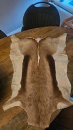 Springbok huid kleed, Ophalen, Rechthoekig