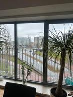 Te huur mooi appartement, Huizen en Kamers, Leeuwarden