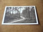 VELUWE  >  EEN DER MOOIE FIETSPADEN OP DE VELUWE, Verzenden, 1920 tot 1940, Gelopen, Gelderland