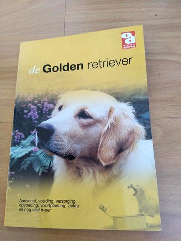 De golden retriever beschikbaar voor biedingen