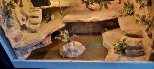 Terrarium 92x50x54, Dieren en Toebehoren, Reptielen en Amfibieën | Toebehoren, Zo goed als nieuw, Terrarium of Paludarium, Ophalen