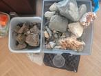 Natuur / lava stenen aquarium, Ophalen