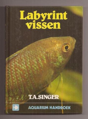 Labyrintvissen - T.A. Singer beschikbaar voor biedingen
