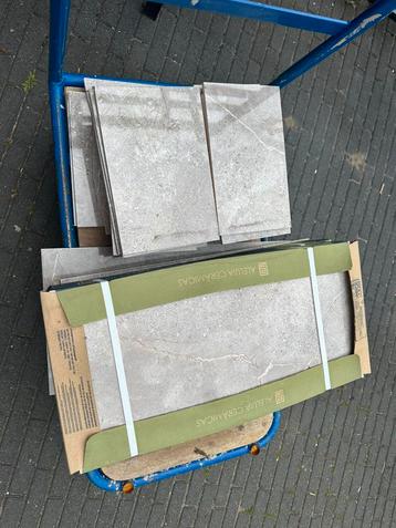 Wandtegel Aleluia Stone Age Grey Shine beschikbaar voor biedingen