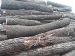 Boomstammen met diameter 3-40cm gratis bezorgd, Stammen, 3 tot 6 m³, Ophalen, Overige houtsoorten