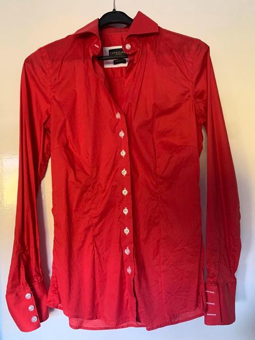 3 x Cavallaro Napoli blouse mt 36, Kleding | Dames, Blouses en Tunieken, Nieuw, Maat 36 (S), Blauw, Ophalen of Verzenden