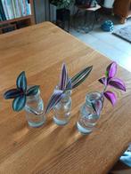 3 stekjes Tradescantia, Huis en Inrichting, Kamerplanten, Ophalen of Verzenden, Overige soorten, Minder dan 100 cm