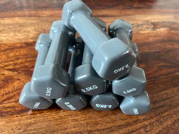 8 gewichten van 0,5 kg dumbbells beschikbaar voor biedingen