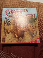 Camel Up Compleet - Gebruikte Staat, Vijf spelers of meer, Ophalen of Verzenden, Zo goed als nieuw