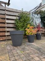Elho antraciet bloempot - 58cm diameter, 55cm hoog, Tuin en Terras, Kunststof, Balkon, 40 cm of meer, Rond