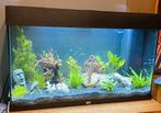 Juwel Aquarium Rio 125, Dieren en Toebehoren, Ophalen, Zo goed als nieuw, Leeg aquarium