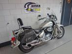 SUZUKI C 800 INTRUDER (bj 2004), Motoren, 2 cilinders, 805 cc, Motorrijbewijs A, Bedrijf
