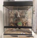 terrarium, Dieren en Toebehoren, Reptielen en Amfibieën | Toebehoren, Ophalen, Gebruikt, Terrarium of Paludarium