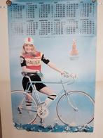 Poster van de Kalender van het Ti-Raleigh team 1977, Verzamelen, Rechthoekig Staand, Verzenden, Zo goed als nieuw, A1 t/m A3