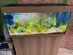 Juwel aquarium 180 liter met onderkast, Dieren en Toebehoren, Vissen | Aquaria en Toebehoren, Ophalen, Zo goed als nieuw, Leeg aquarium
