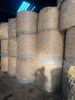 Partij Super Droge Ronde biologische balen hooi zonder folie, Ophalen of Verzenden, Vee