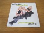 Dixie Chicks - You Were Mine 1999 Epic 667238 1 Europa CDS, 1 single, Ophalen, Zo goed als nieuw, Country en Western