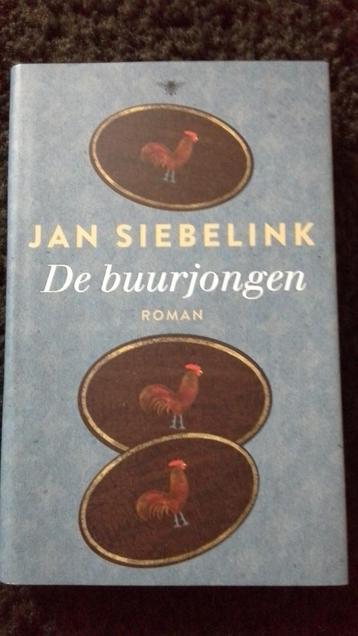 Boek, de buurjongen. Jan Siebelink  beschikbaar voor biedingen