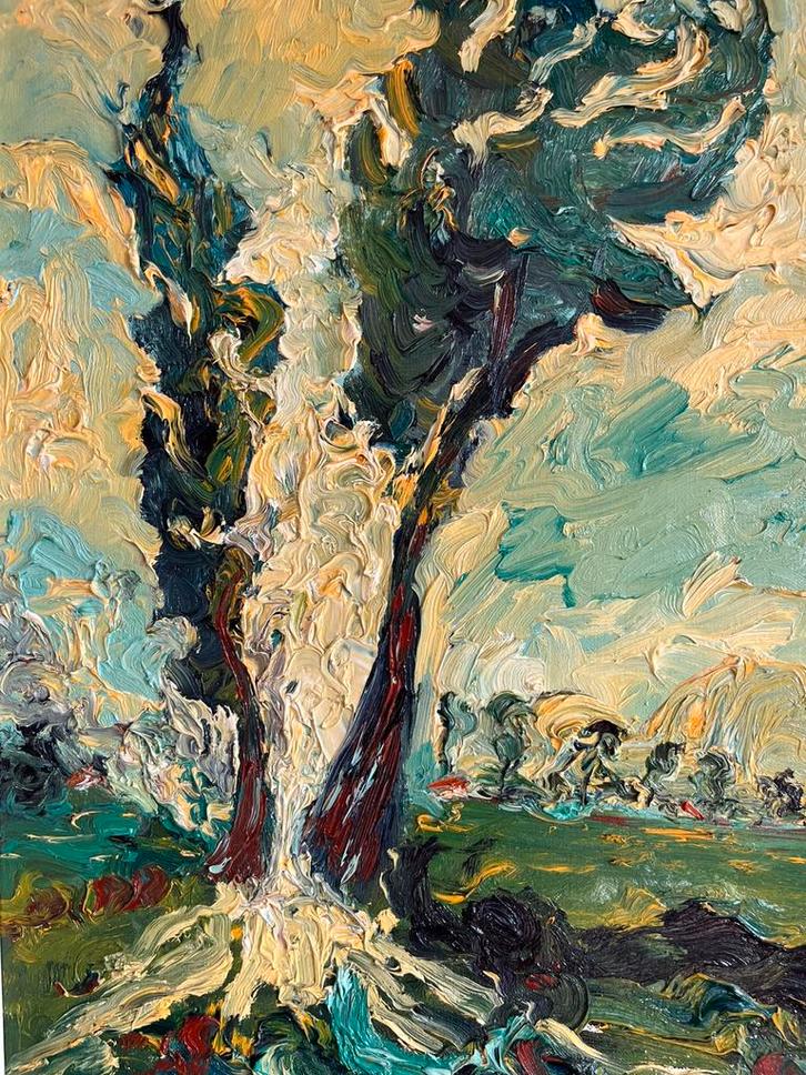 Landschap schilderij mooi pasteus opgezet, Antiek en Kunst, Kunst | Schilderijen | Klassiek, Ophalen of Verzenden