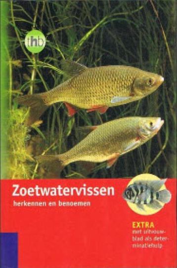 Zoetwatervissen herkennen en benoemen beschikbaar voor biedingen