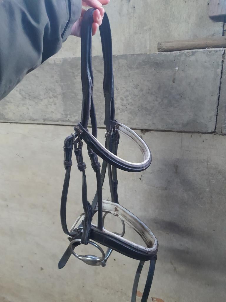 Zwart hoofdstel en martingaal full, Dieren en Toebehoren, Paarden en Pony's | Hoofdstellen en Tuigage, Ophalen of Verzenden, Gebruikt