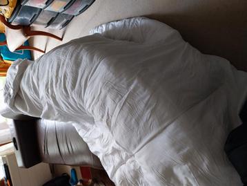 Groot en Superzacht Tweepersoons Dekbed (200x200cm) beschikbaar voor biedingen