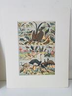 Chromolitho uit 1920, Ophalen of Verzenden
