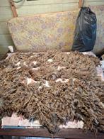 Mooie ruwe wol Romanov schaap,, Ophalen of Verzenden, Spinwol