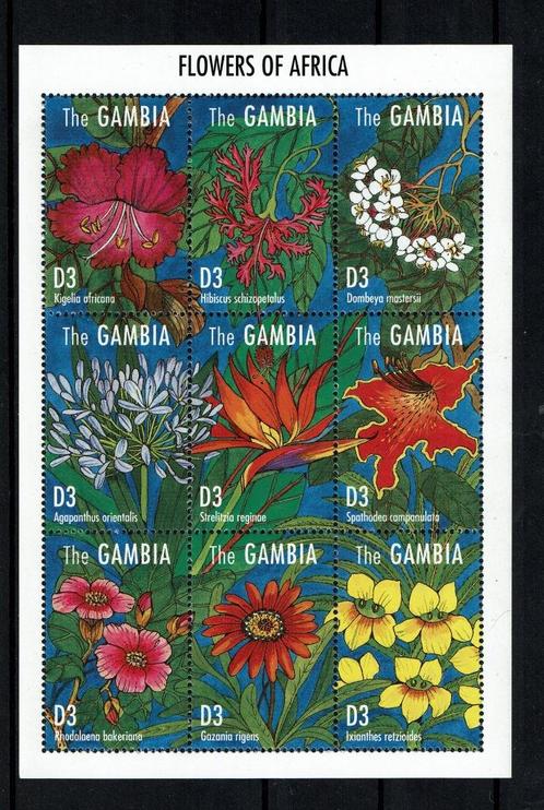gambia 1995 pf blok bloemen flora flowers, Postzegels en Munten, Postzegels | Thematische zegels, Postfris, Dier of Natuur, Ophalen of Verzenden