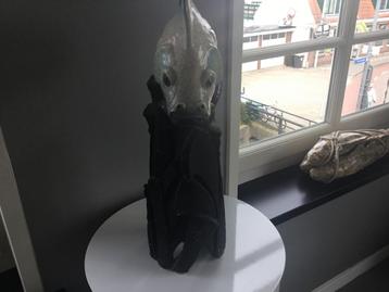 Unica Pieter Groeneveldt ivv van een vis beschikbaar voor biedingen